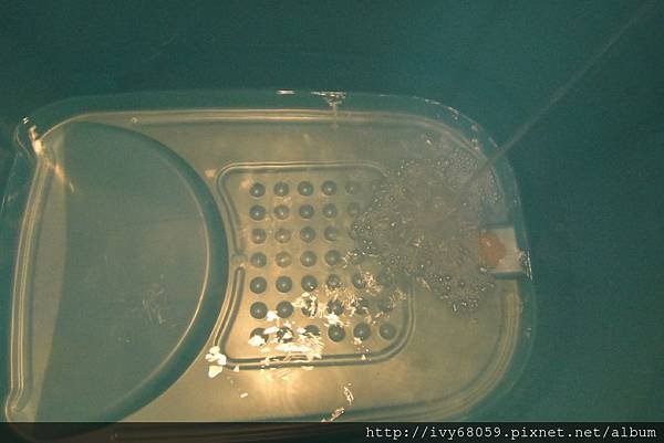 PhotoCap_DSC01280.jpg