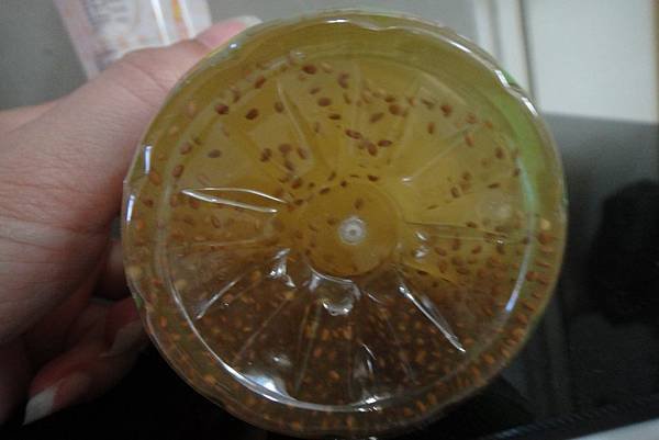 PhotoCap_DSC03105.jpg