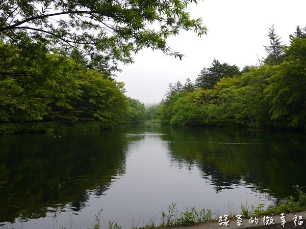 P1040325.JPG