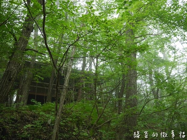P1040347.JPG