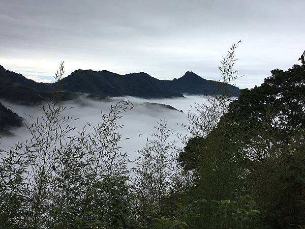 S__20611117.jpg