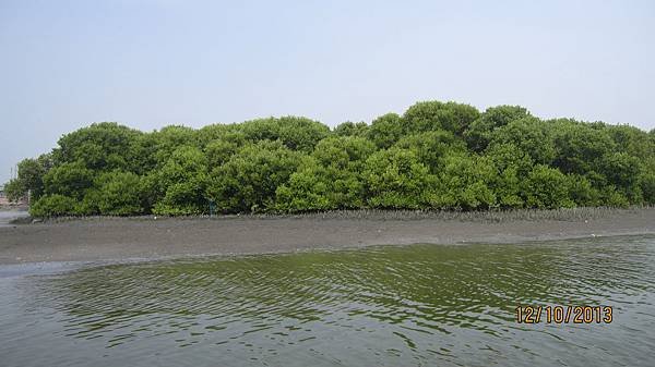 IMG_7384.jpg