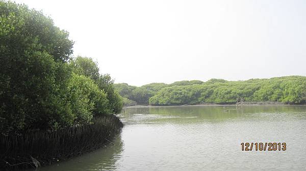 IMG_7393.jpg