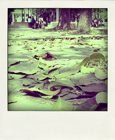 033-pola.jpg