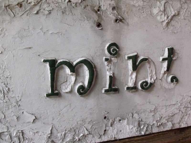 mint