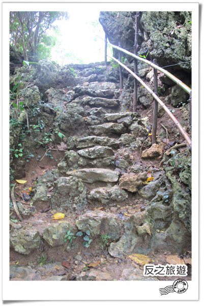 P13.jpg
