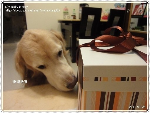2011.01.08 20.jpg