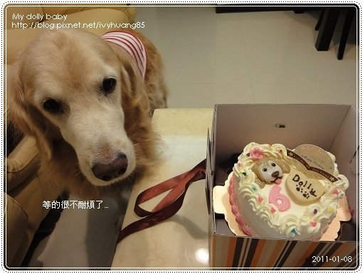 2011.01.08 25.jpg