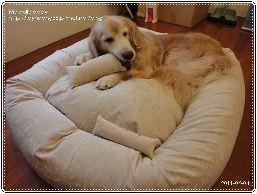 2011.06.04 07.jpg