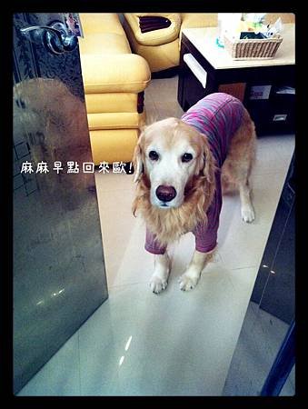 麻麻早點回來！