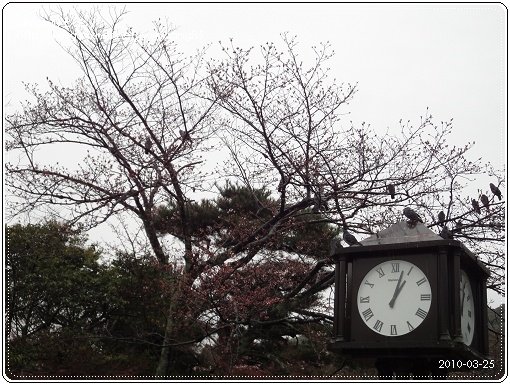 20100325-070.jpg