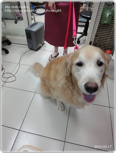 2010.05.17-63.jpg