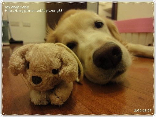 2010.08.27 03.jpg