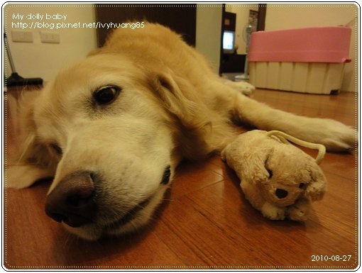 2010.08.27 04.jpg