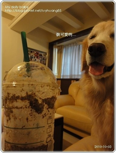 2010.10.03 04.jpg