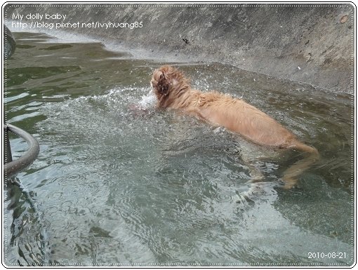2010.08.21 69.jpg