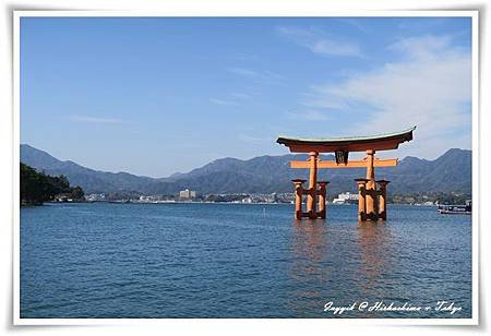 IMG_3574.JPG