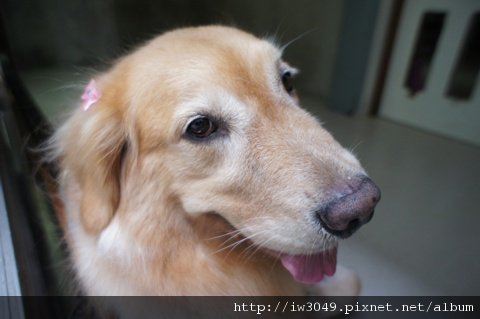 DSC01285.JPG