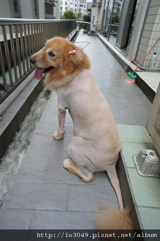 DSC01212.JPG