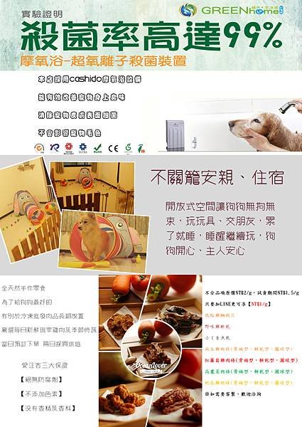 傳單背面.jpg