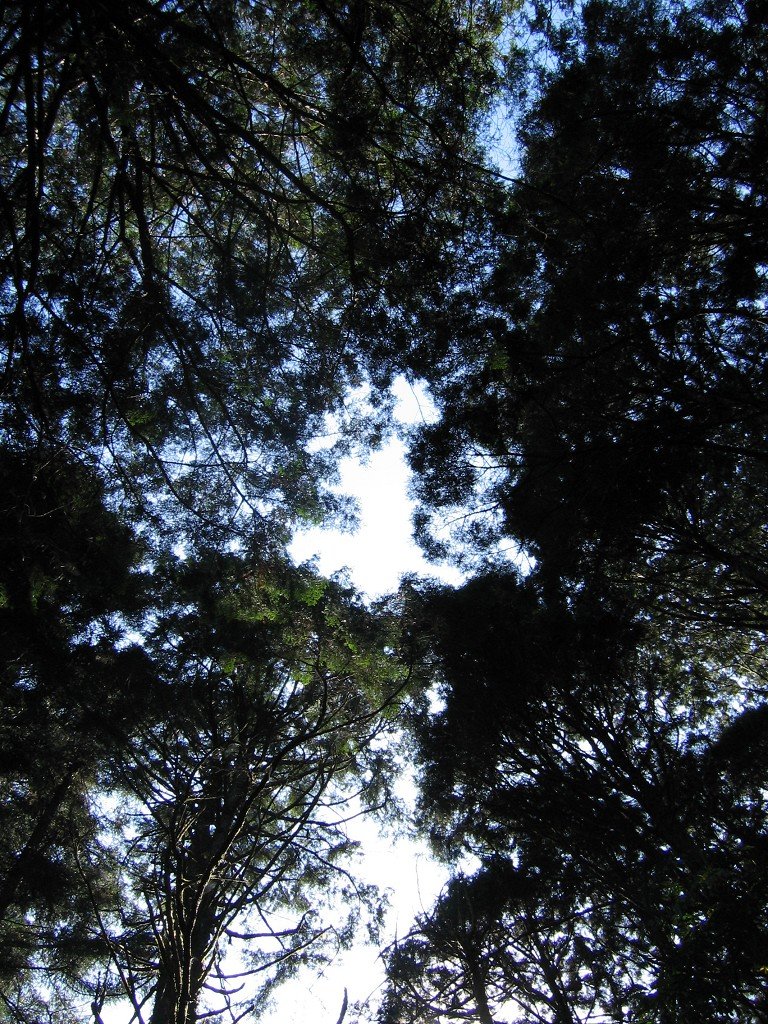 IMG_0095.JPG