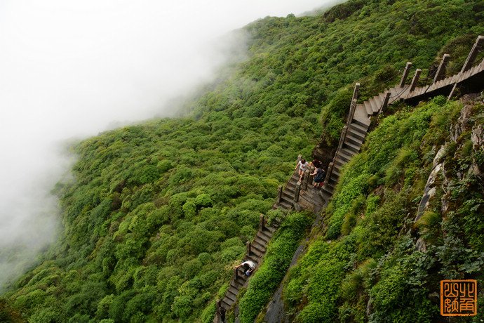 梵净山 &lt;wbr&gt;梵天净土下的生态保护