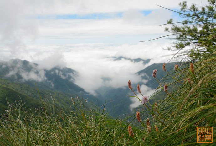 梵净山 &lt;wbr&gt;梵天净土下的生态保护