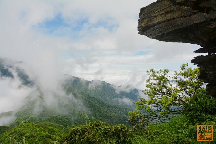 梵净山 &lt;wbr&gt;梵天净土下的生态保护