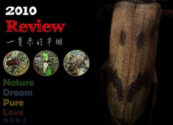 2010 Review 拷貝.JPG