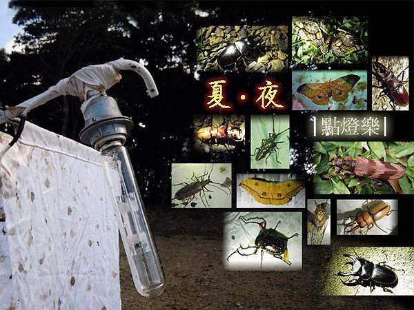 點燈1