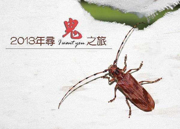 深山鬼之旅1