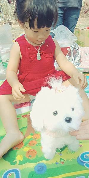 IMG20190302134127.jpg