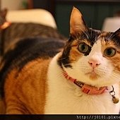 20120318-032
