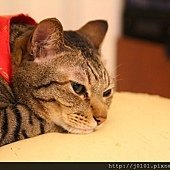 20120318-072