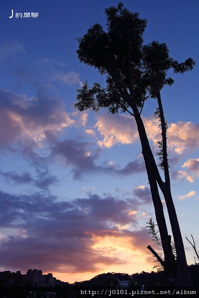 20100718-1065.jpg