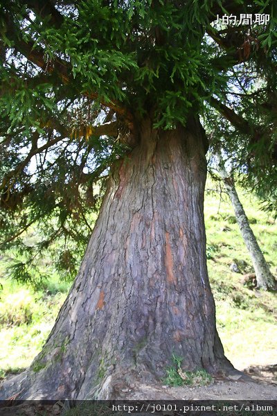 20100930-098.jpg