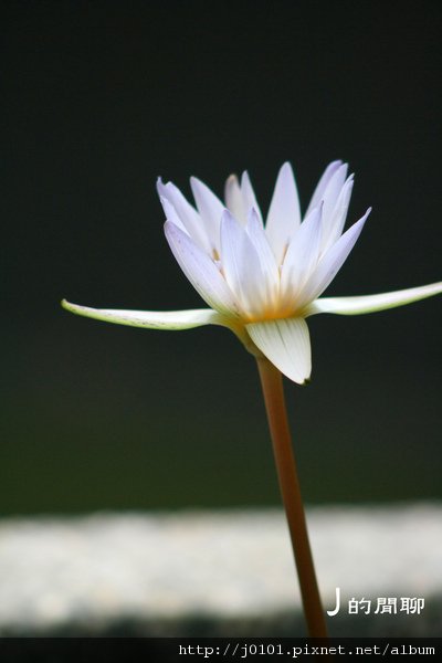 20100616-260.jpg