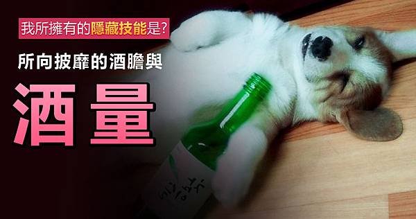 所向披靡的酒膽與酒量