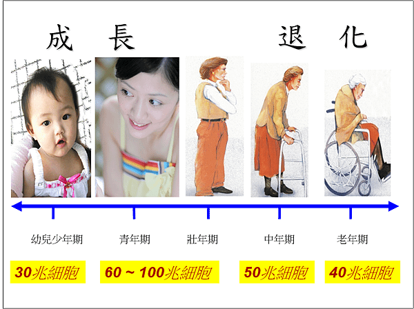 圖片11