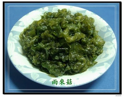 雨來菇