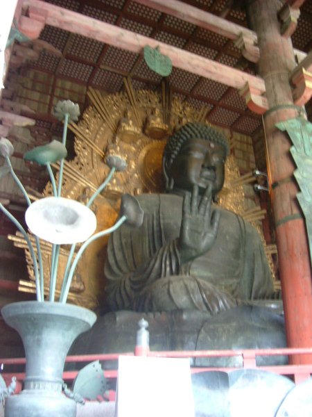 奈良東大寺 (11).JPG