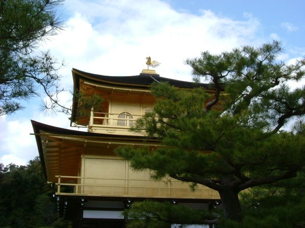 金閣寺-京都   (6).JPG