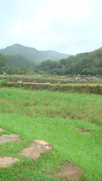 草嶺古道200 (18).JPG