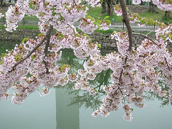DSCN4279