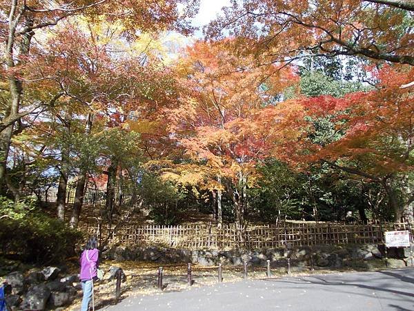 DSCN0874