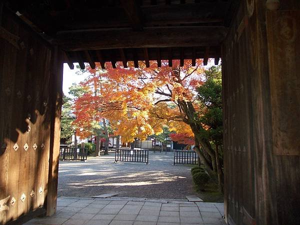 京都紅葉旅：千年相思廬山寺