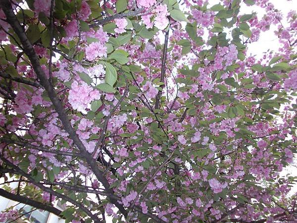 DSCN0076