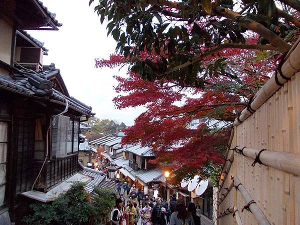 楓‧京都：京都甜在心‧夜楓清水寺