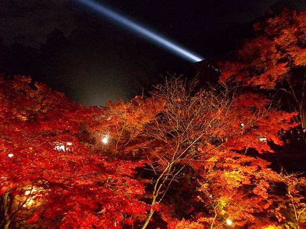 楓‧京都：京都甜在心‧夜楓清水寺