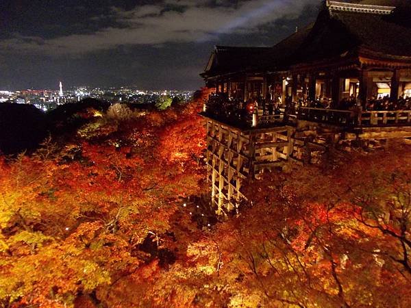 楓‧京都：京都甜在心‧夜楓清水寺